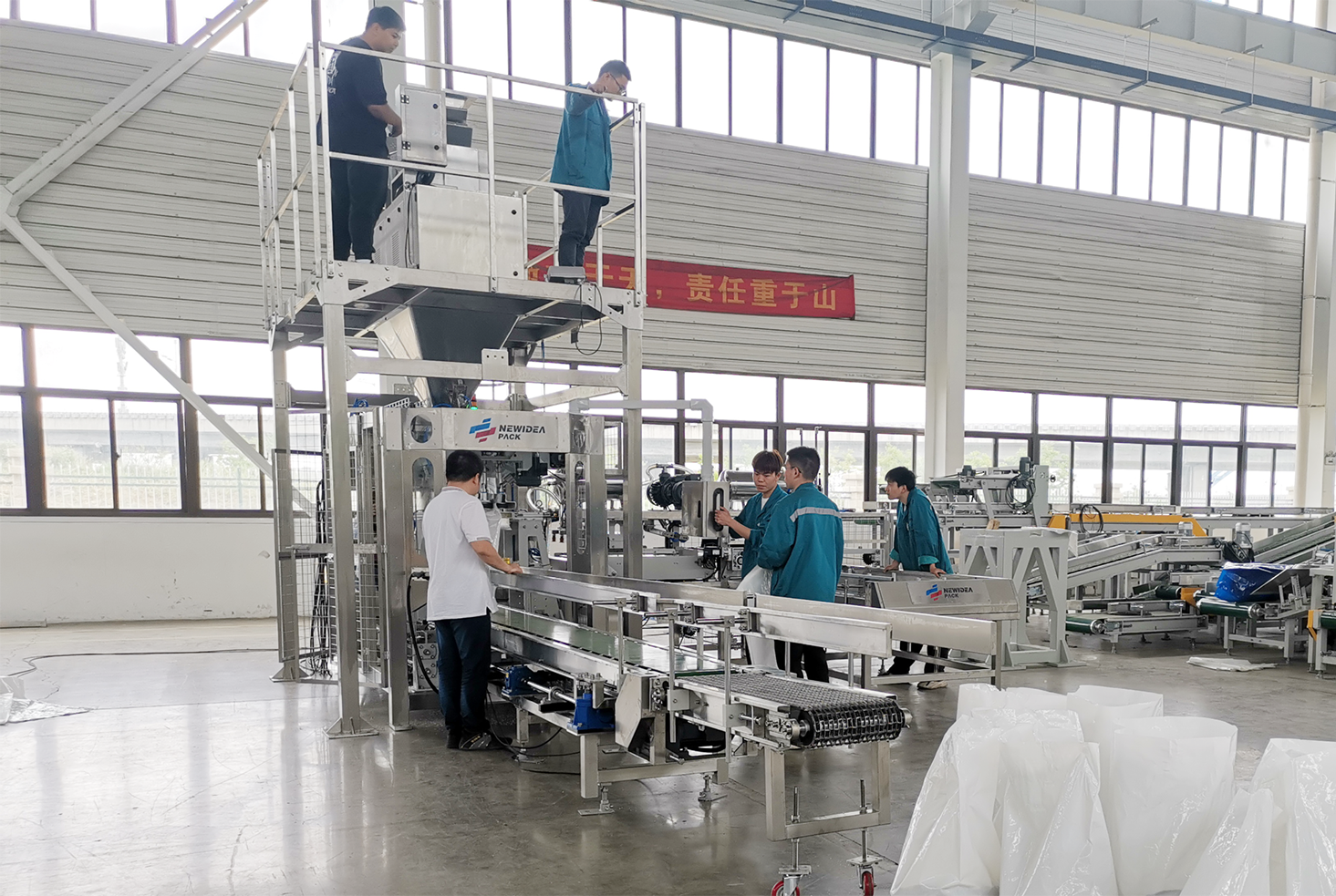 Surprise 25~50 KG Salt Packaging Line Choosen Like This