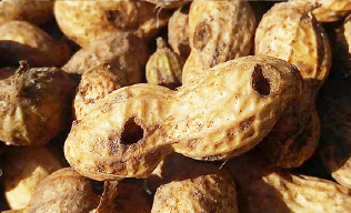 Sorting examples show Of 6SXC-63 color Sorter