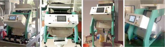 Color sorter machine in operation
