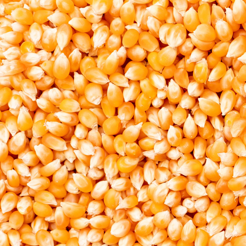 Granular material sample 5