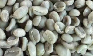 Sorting examples show Of 6SXC-63 color Sorter