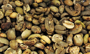 Sorting examples show Of 6SXC-63 color Sorter