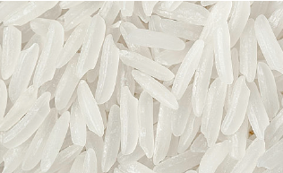 Sorting examples show Of 6SXC-63 color Sorter