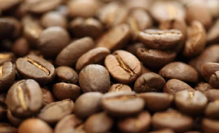 Sorting examples show Of 6SXC-63 color Sorter