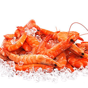 Best Food Packaging Machine : Proven Custom Solutions