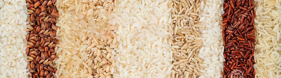 Open mouth bagging solutions for bulk products