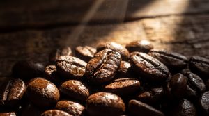 Comparison of coffee bean density between light and dark roast profiles