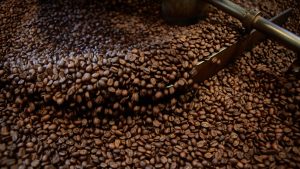 "Morning sunlight on an open bag of coffee beans" (Related to light exposure and coffee oxidation)