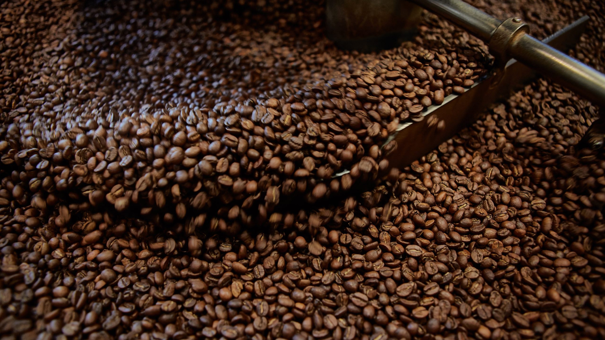 "Morning sunlight on an open bag of coffee beans" (Related to light exposure and coffee oxidation)
